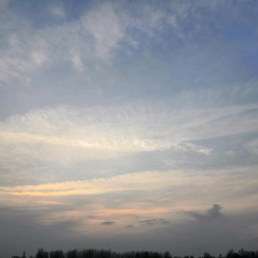 大荔县二手房奚娟