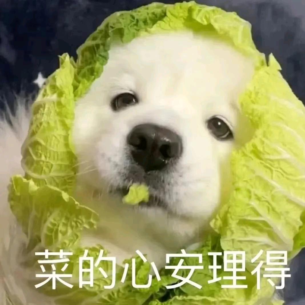 我爱拉史～