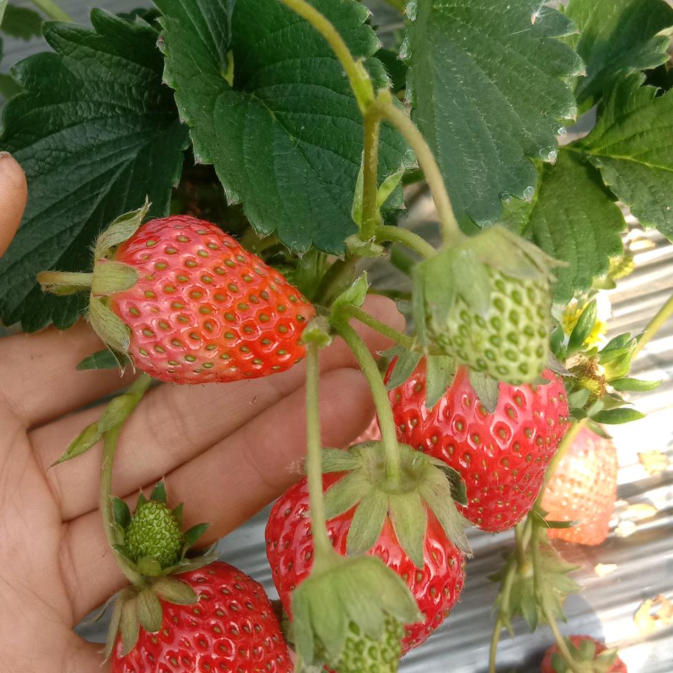 以后的以后81144