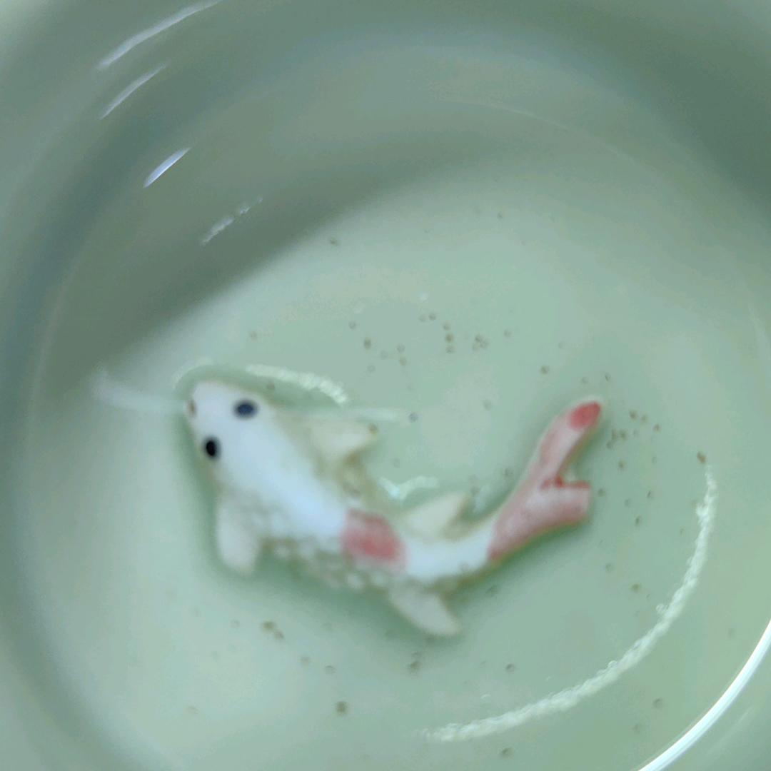 乔尼尔嘉宝果