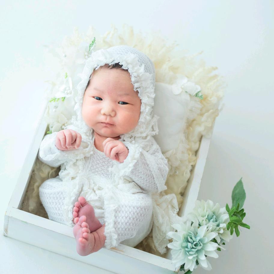 莫比乌斯藤