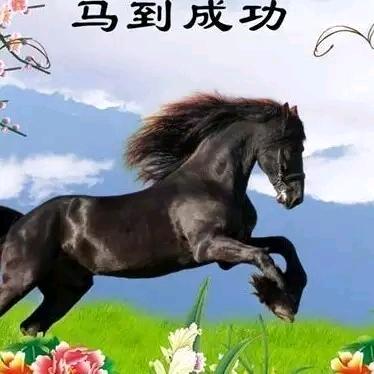 成功马