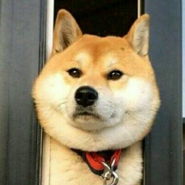 小乐。