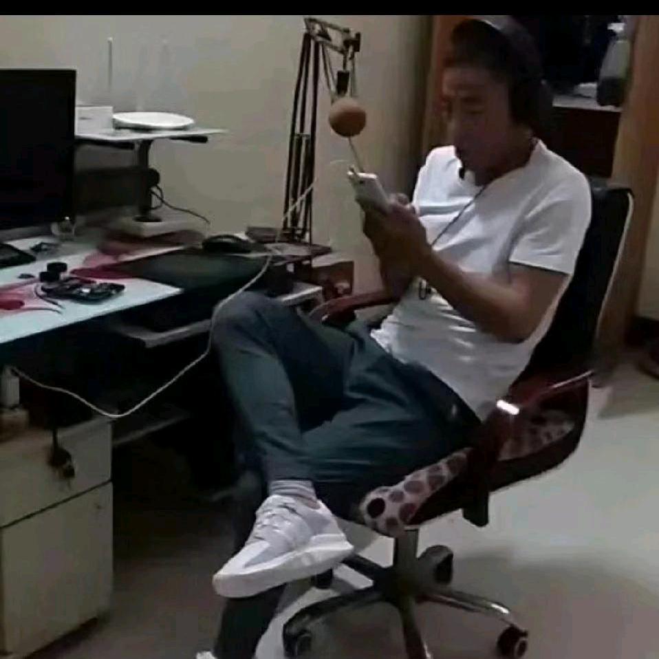 南来北往