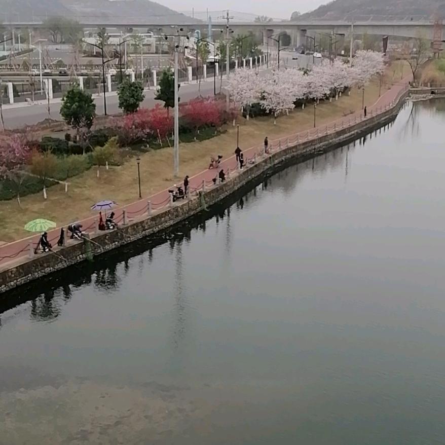 鱼哥