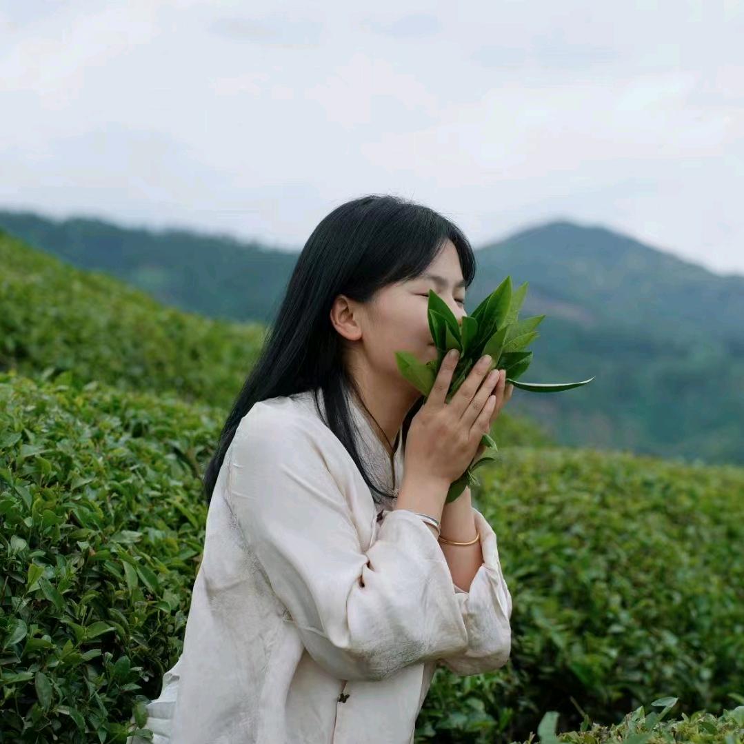 开茗茶叶店个体店