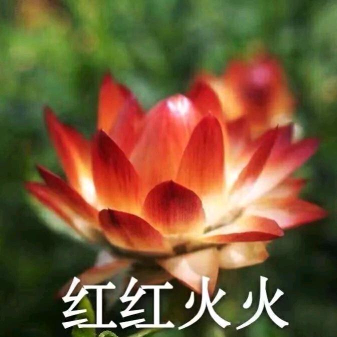 开心（单亲妈妈）