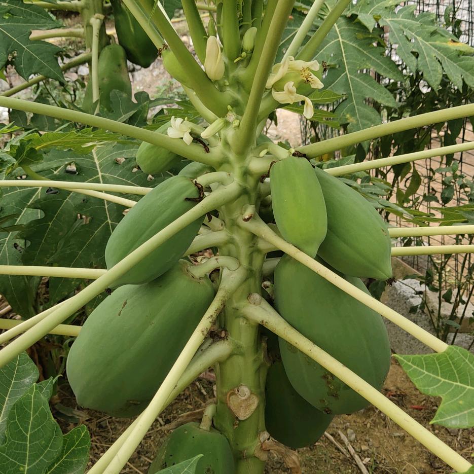 @阿宁