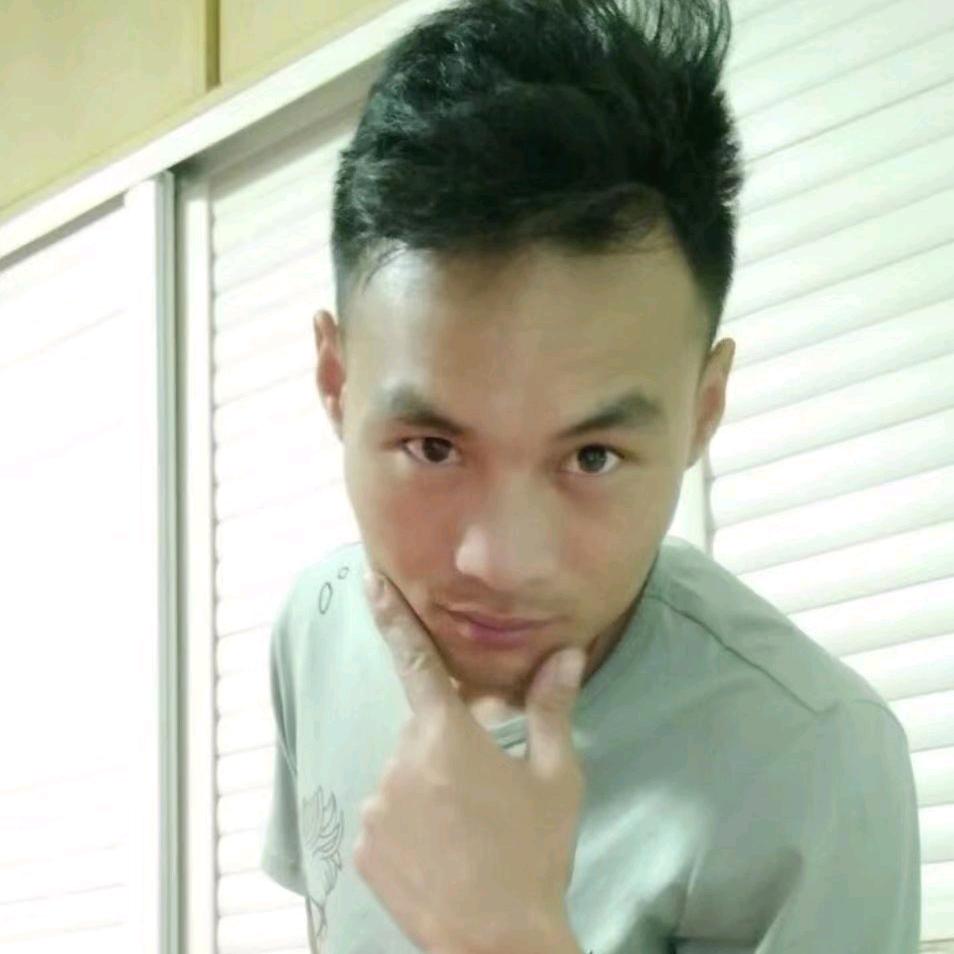 河南小杨