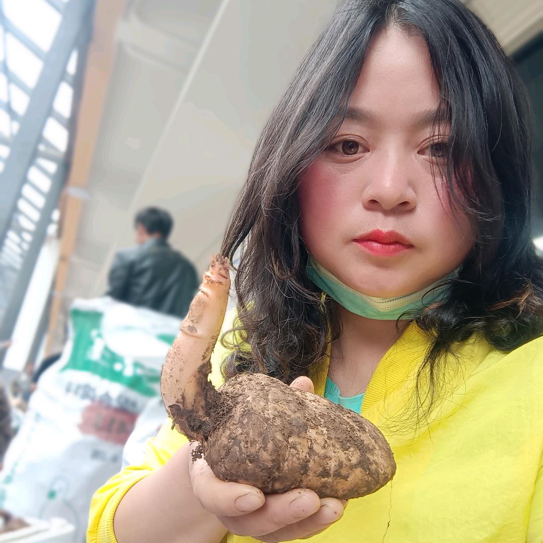 天麻姐姐