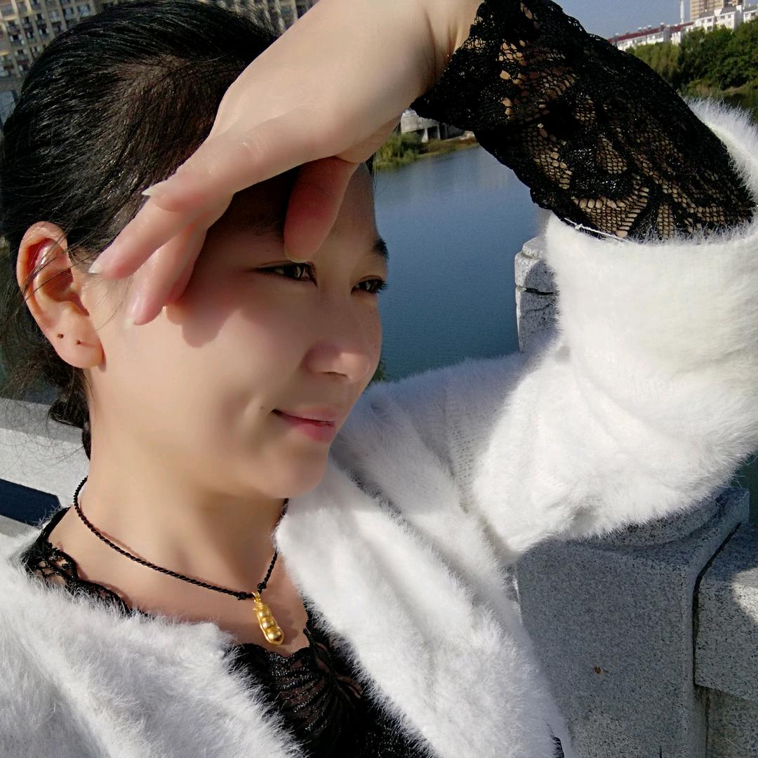 远安巨龙京东家电枚子