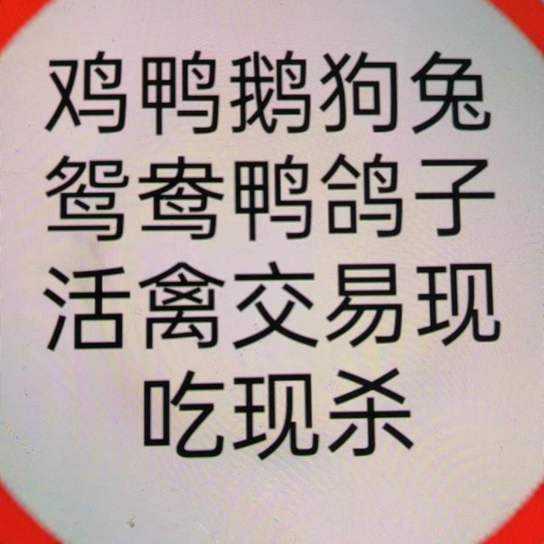 封丘家禽交易，现吃现杀
