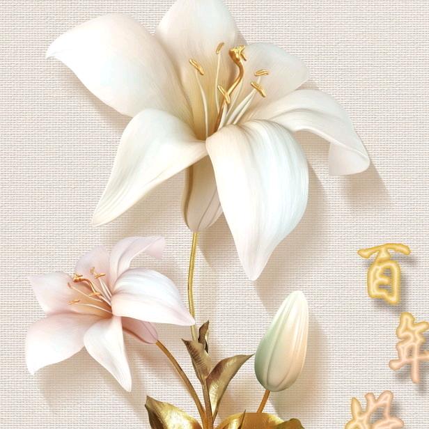 人帅气质佳迷人又洒脱