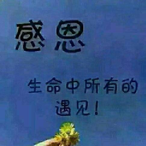 《￥努力奋斗￥》