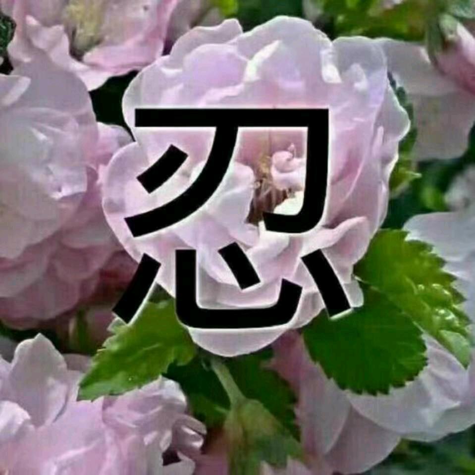 永恒姐好物优先