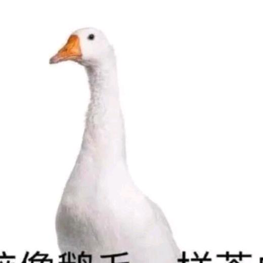 小  殿ＯｖＯ