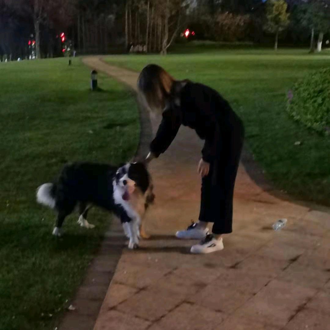 唉呀..妈呀！