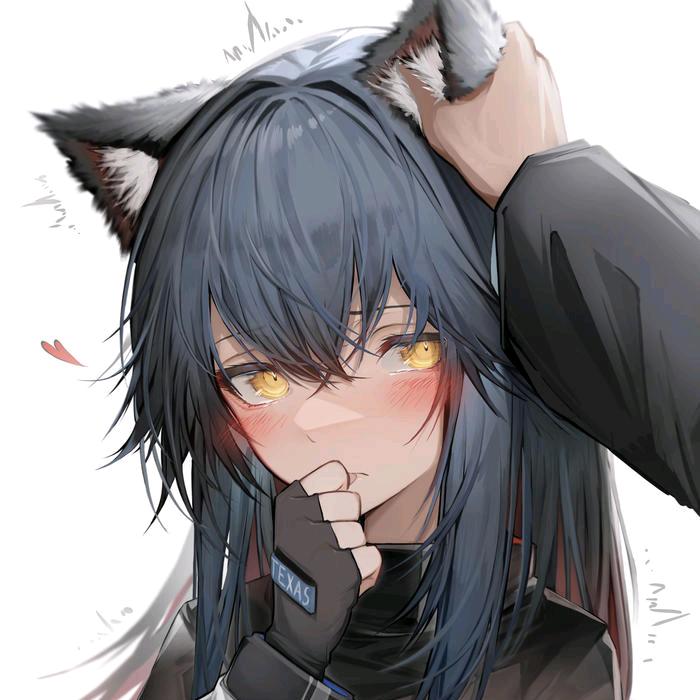 羞涩的德克萨斯