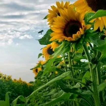 🌈酒梦！专业修建各种民房，承接大小