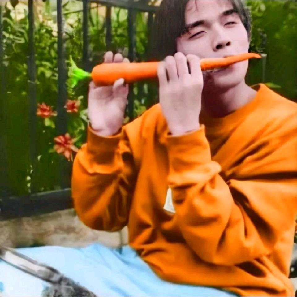 天天年天天的我
