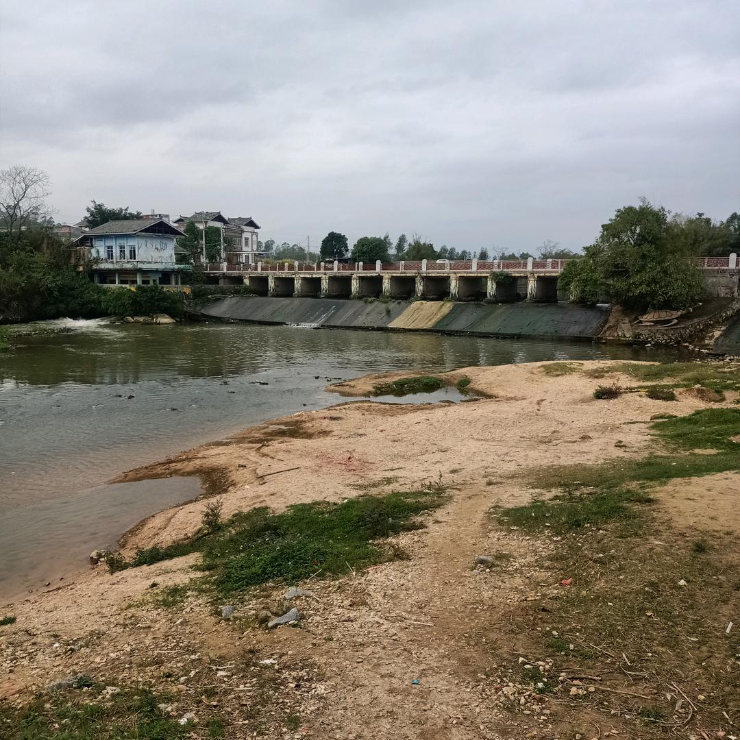 花儿开花红艳艳