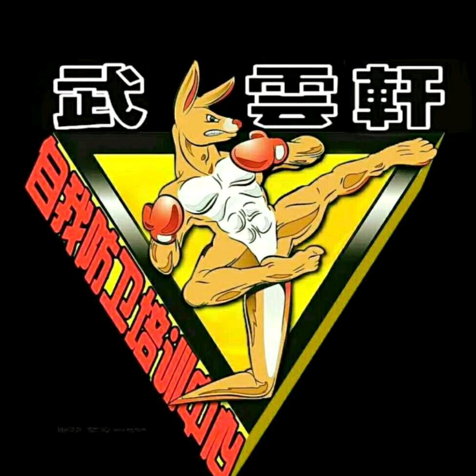 武雲軒搏击