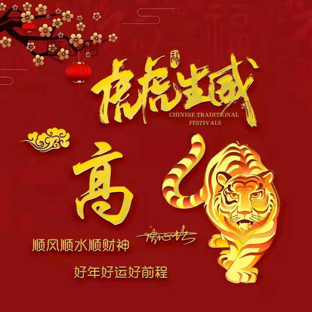 光辉岁月🐅