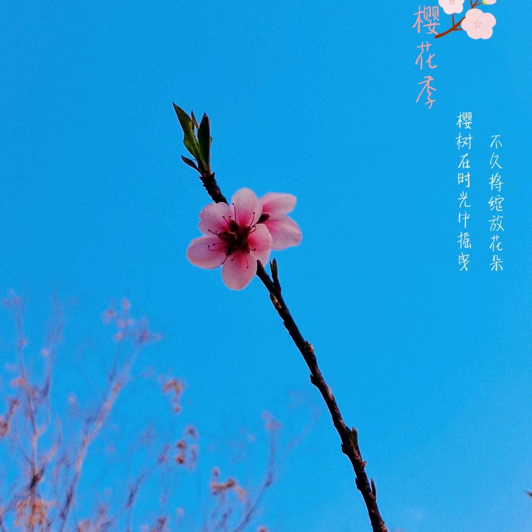 🌈菲菲🌸