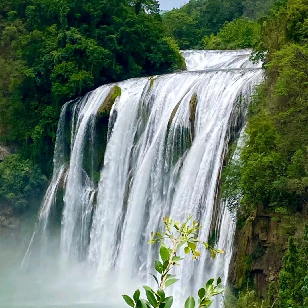 醉春风之意薇薇