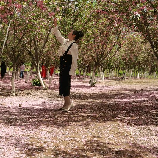 💕ꦿ᭄大ఏ玉🦋儿ꦿ༉ᩚ