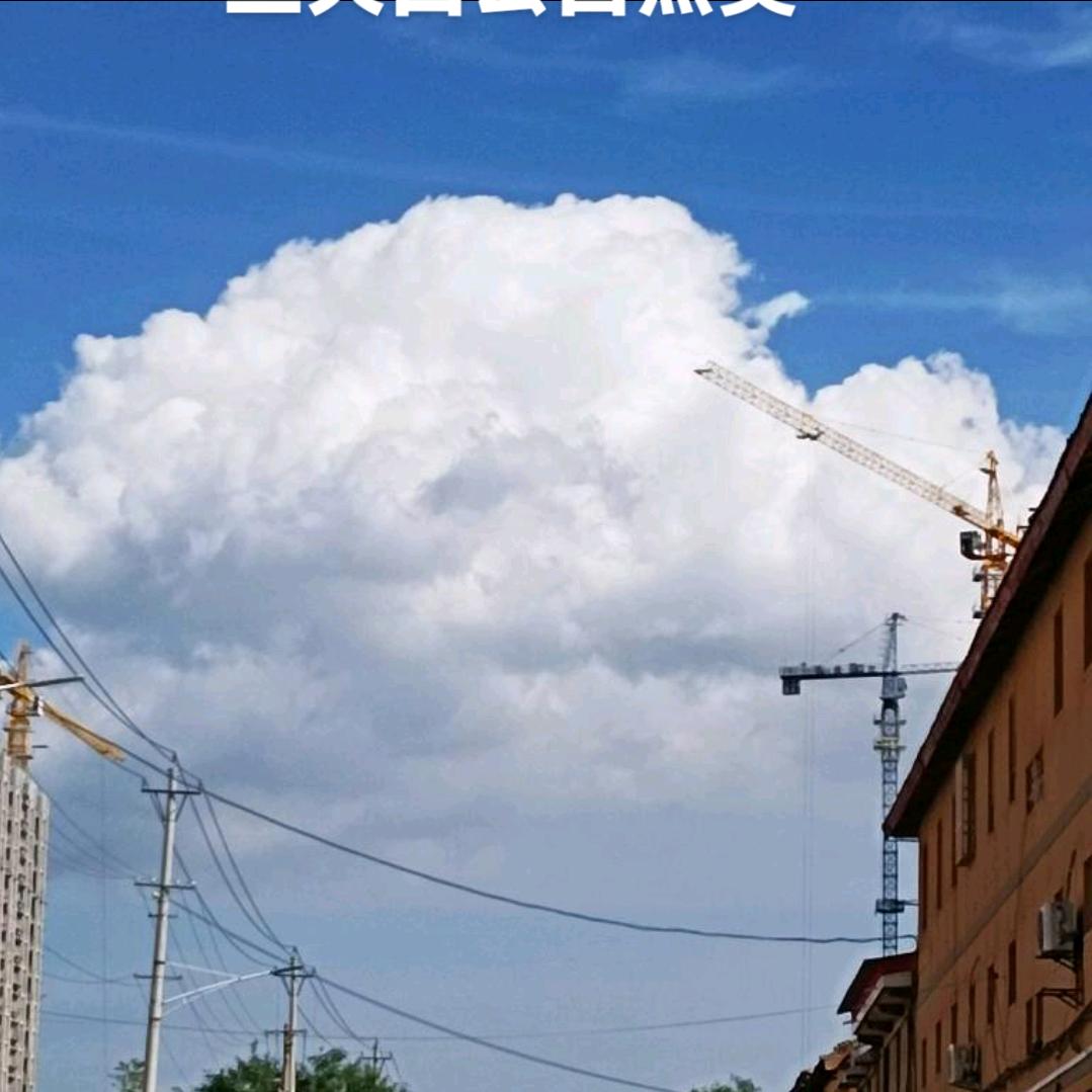 用户8931805627677龙行天下