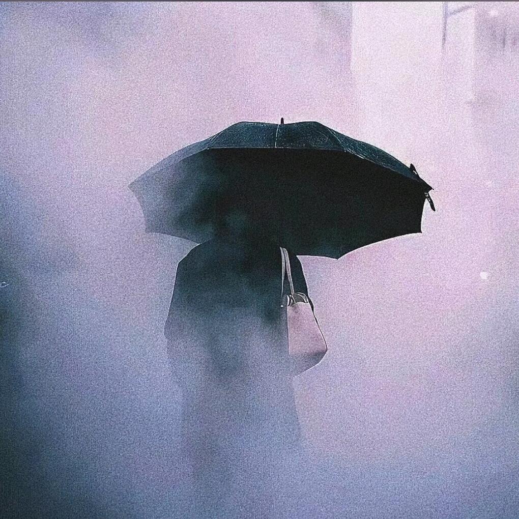 楊