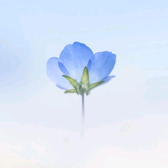 墨·未眠头像