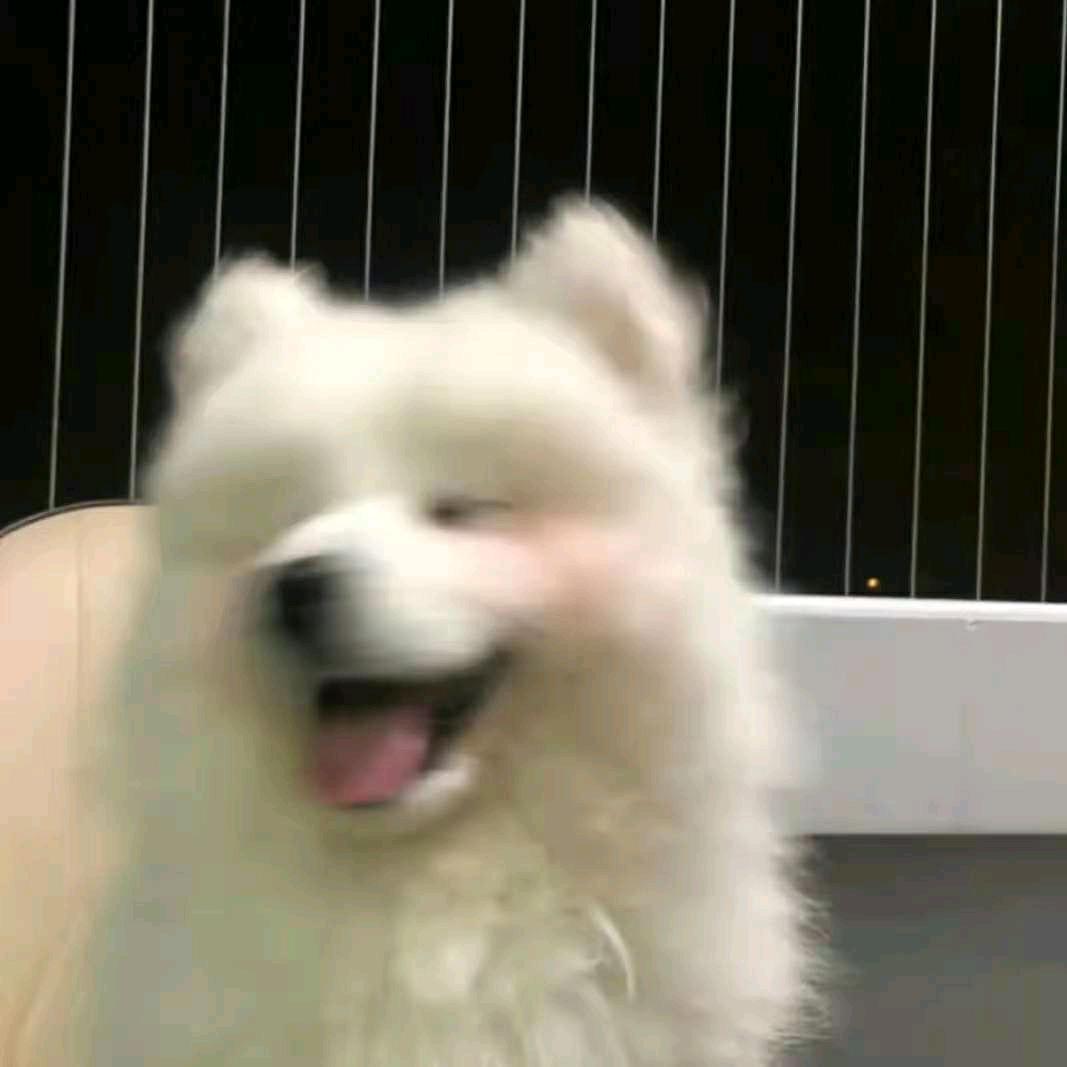 υυυ