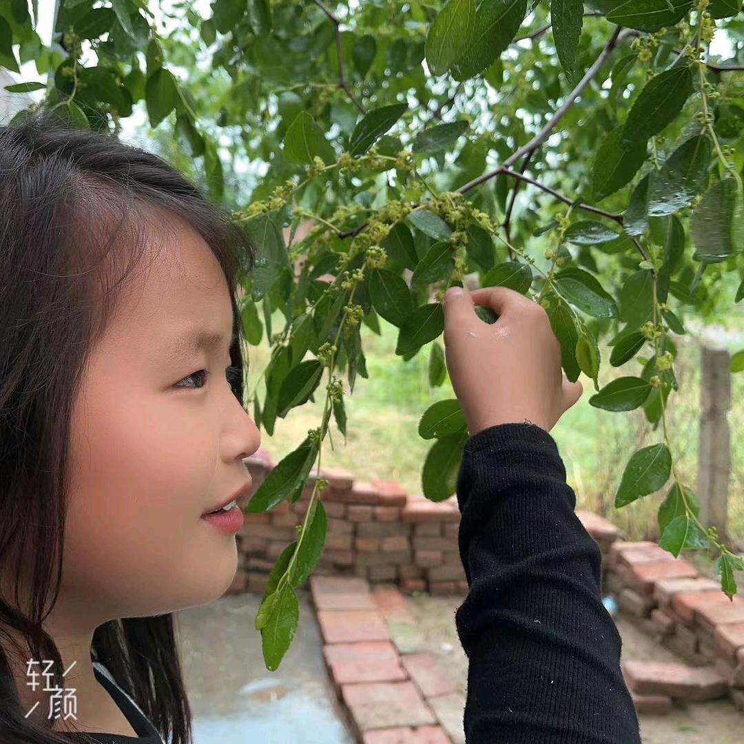 @亿瓶安慕希🥰