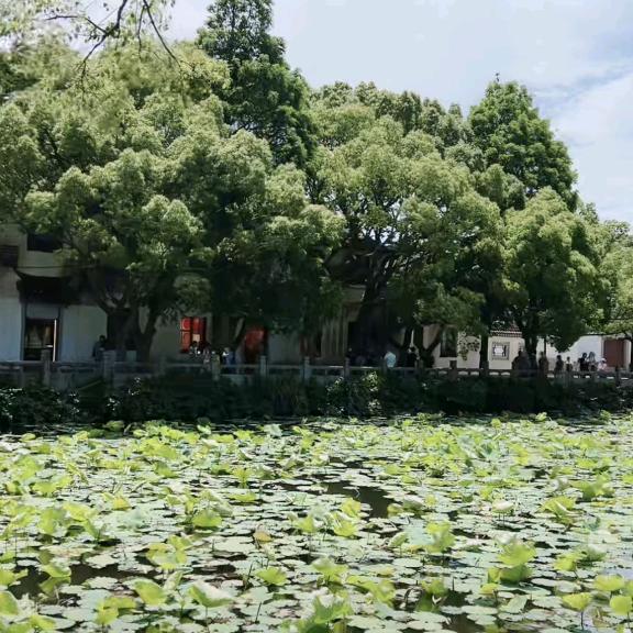 小霞姐
