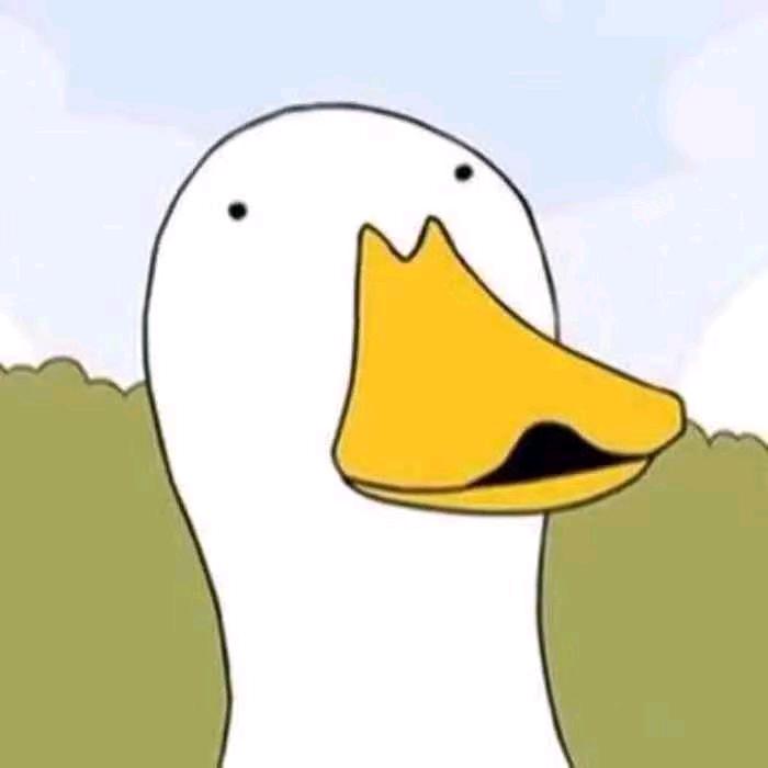 趣味爆笑鸭