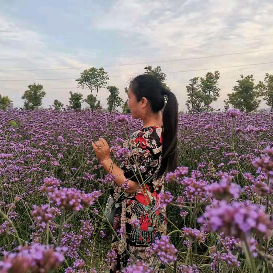 💞᭄᪲ᩚ꯭丽姐᭄💕