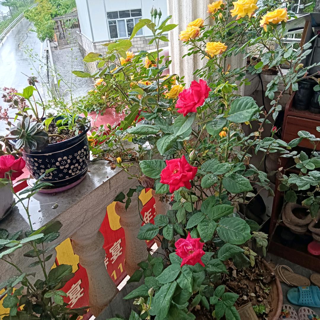 红白喜事一条龙服务
