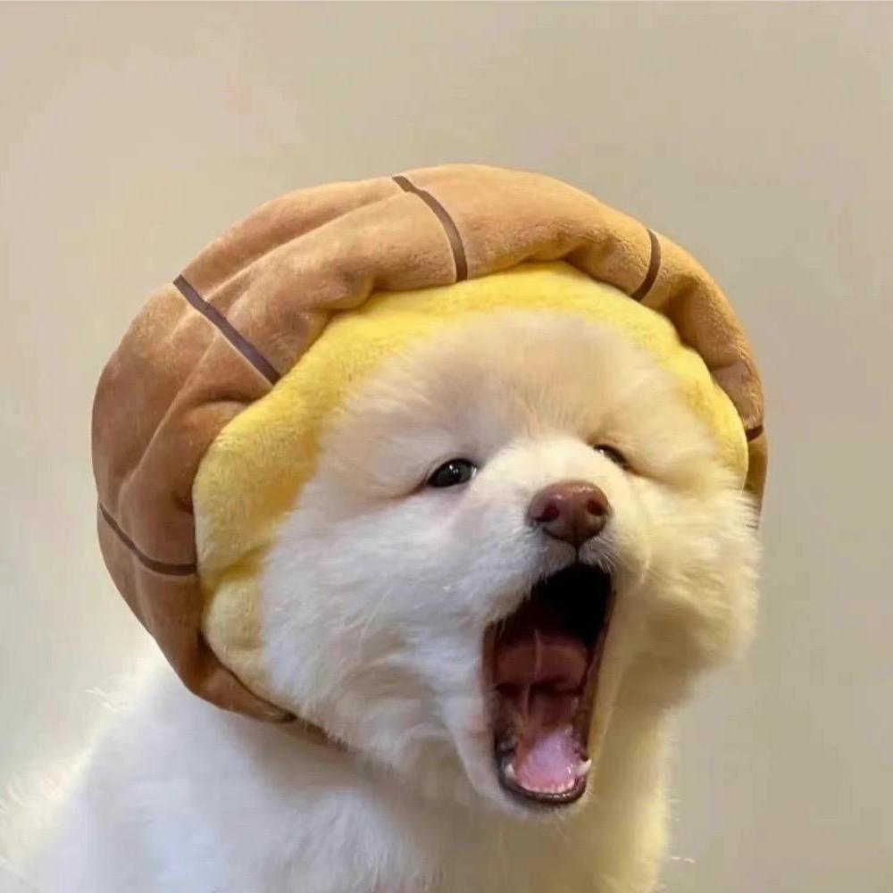 唧唧喳小老鼠🐭