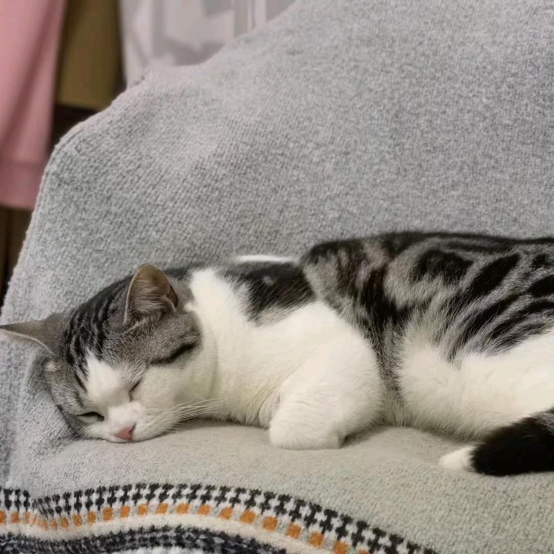 纯欲天花板🌸