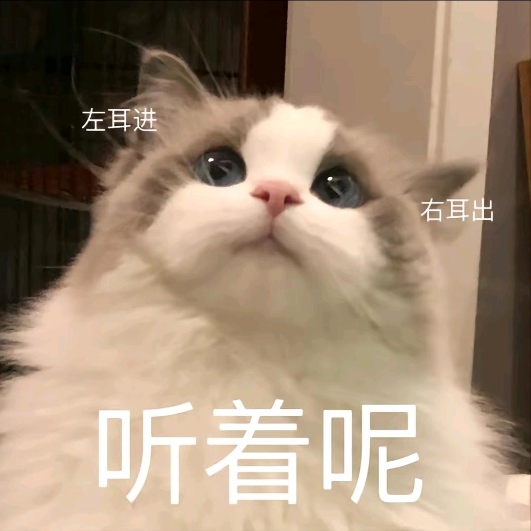 春归意