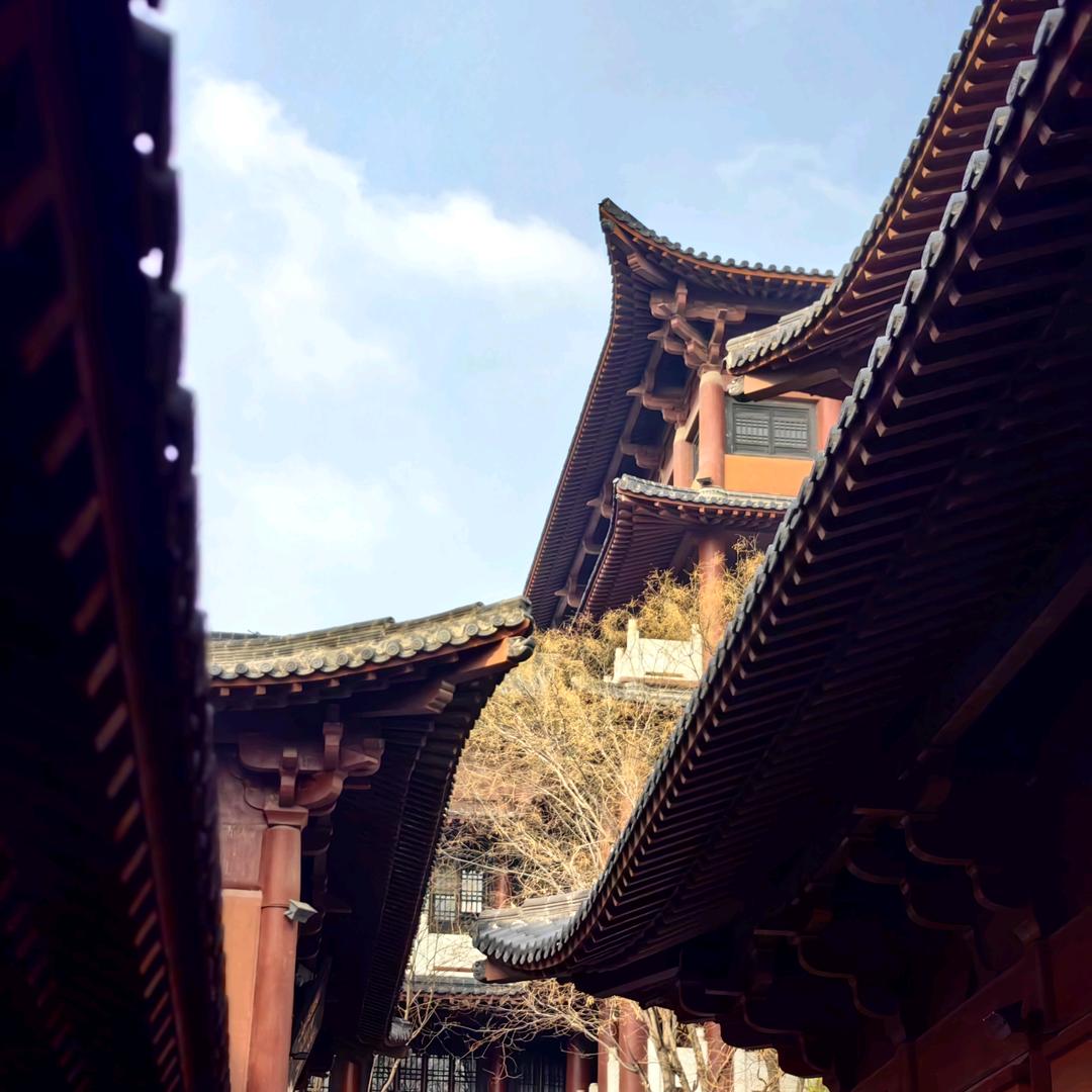 郑州阿涛帮租好房