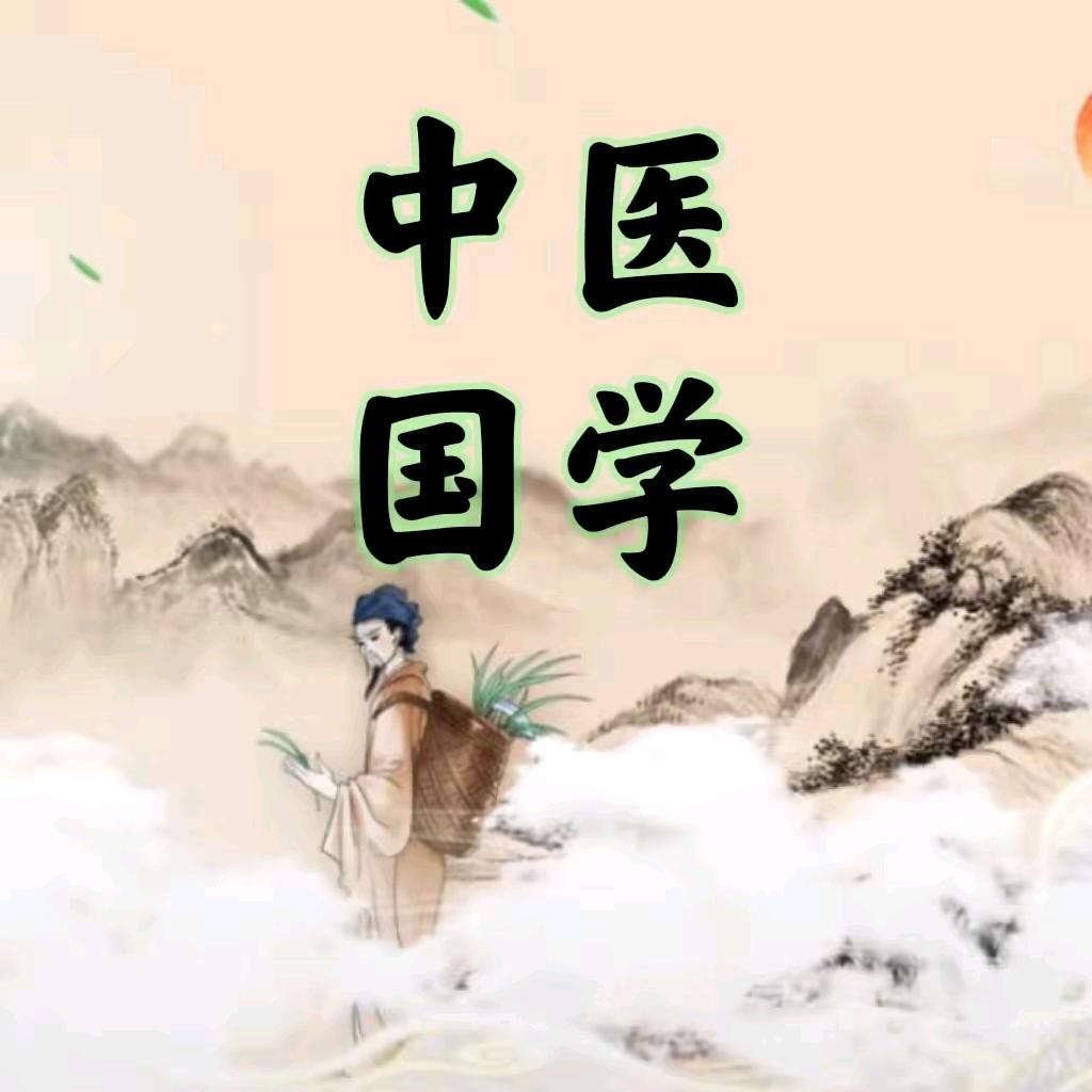中医文化
