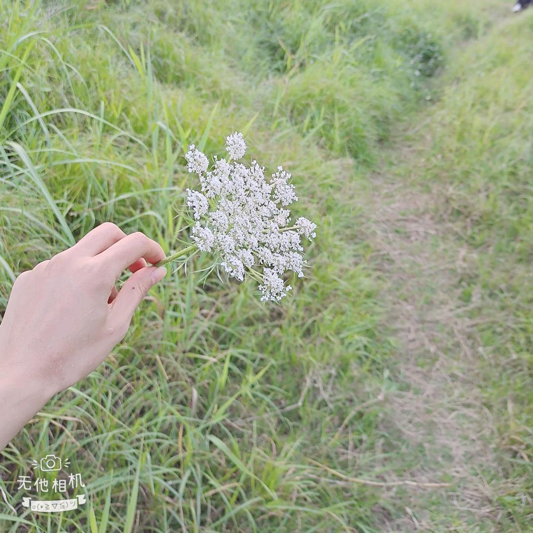 没有🍬的小朋友
