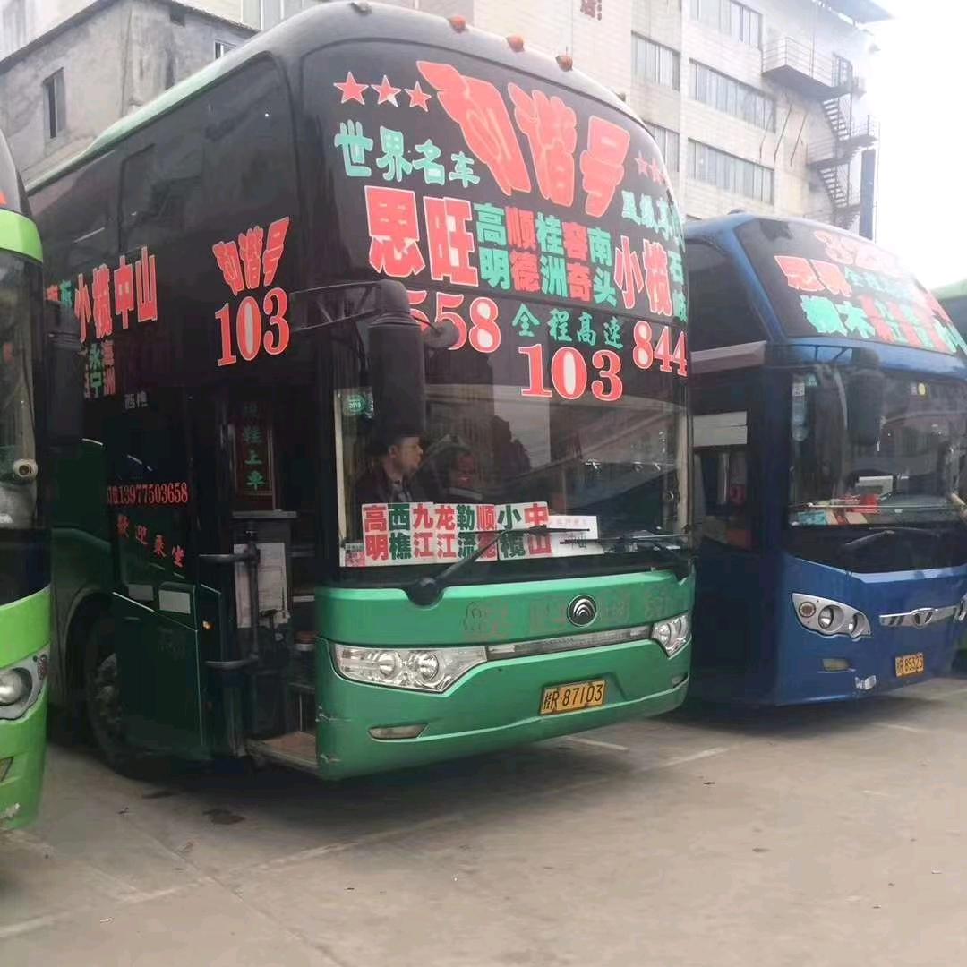 刀哥客运思旺103/113小榄大涌车