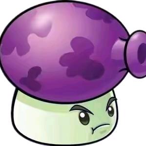 🌈大喷菇🟣🟣 🟣🟣 🟣