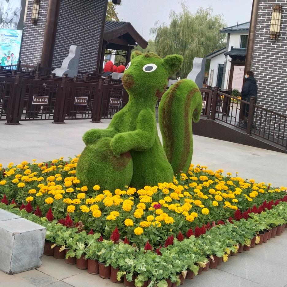 随遇而安