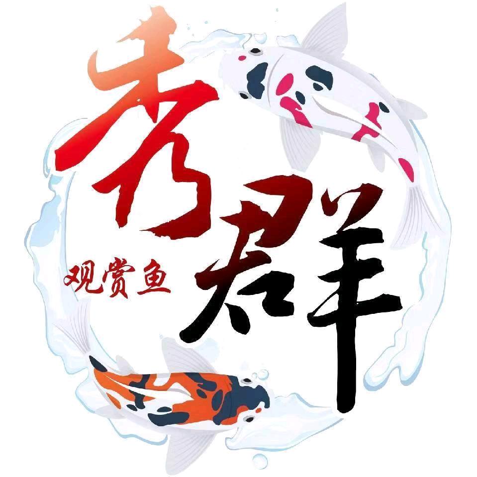 秀群养鲤场