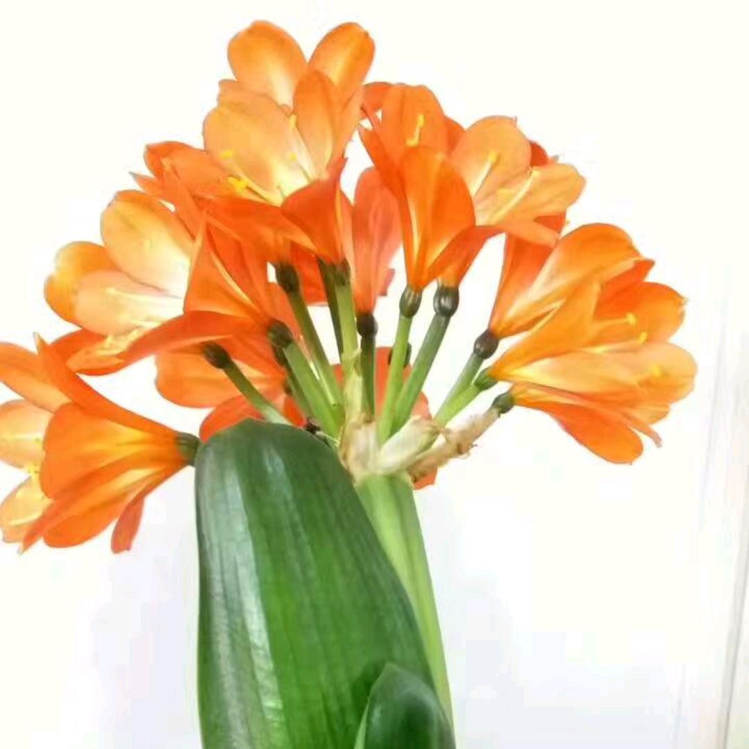 民言之窗